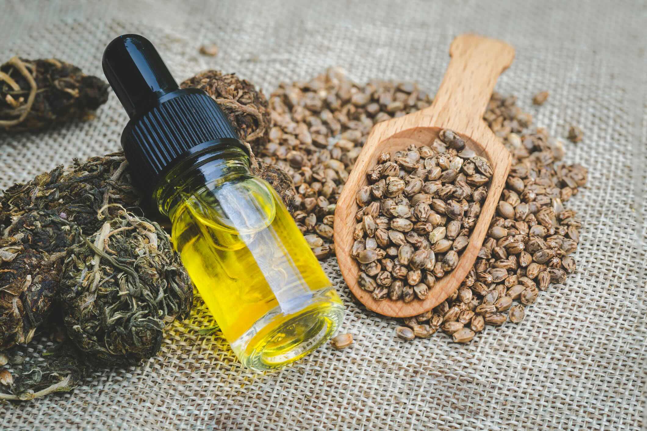 Everyday Benefits of Using CBD Oil for Pain in Modern Wellness