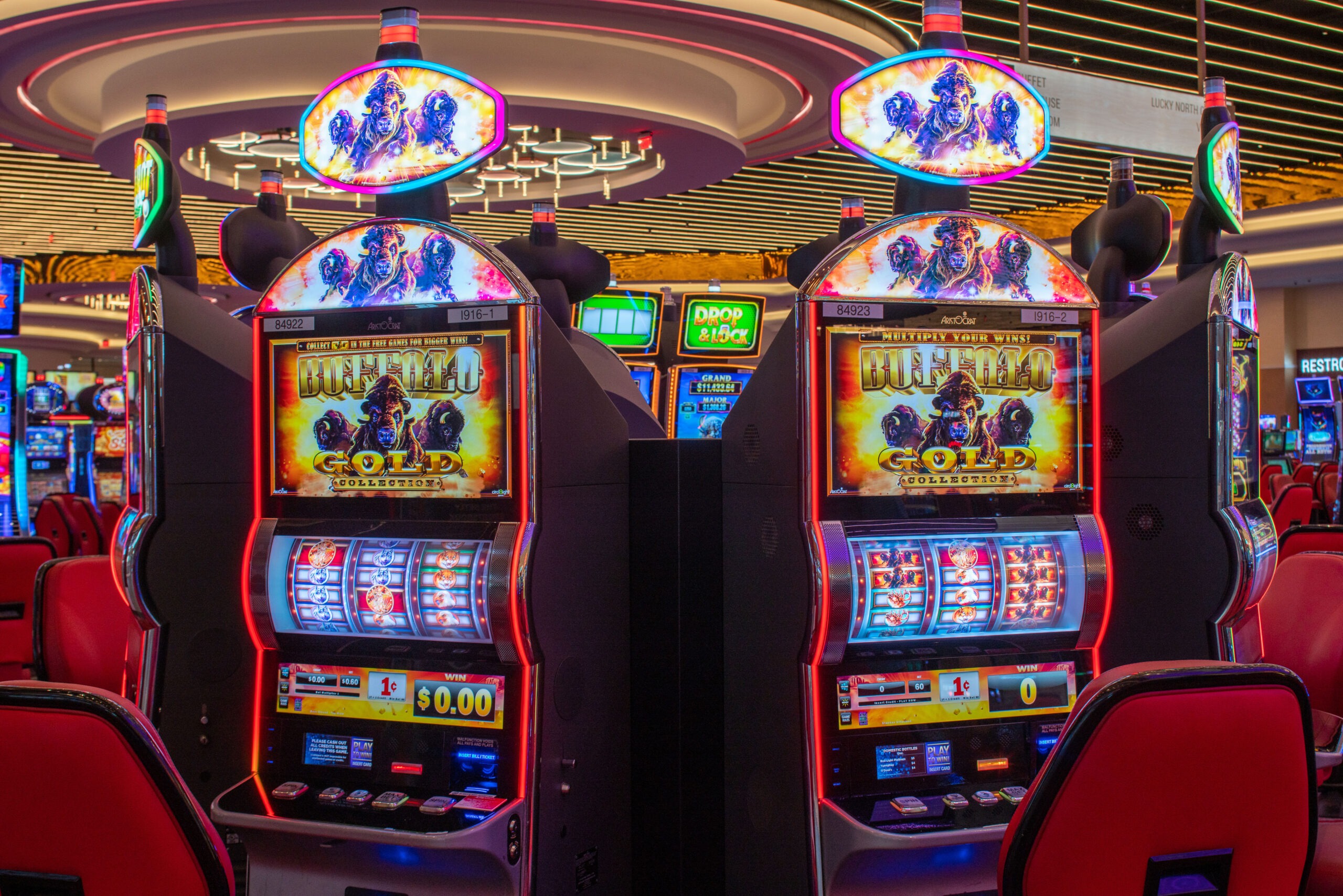 Differences between live dealer and regular online casino games