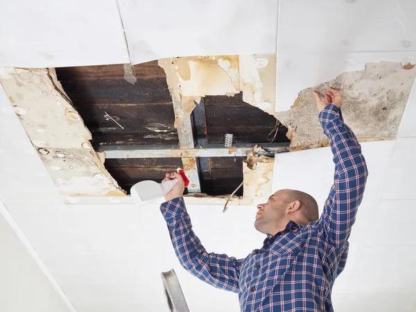 Top Rated Water Damage Repair and Recovery Services