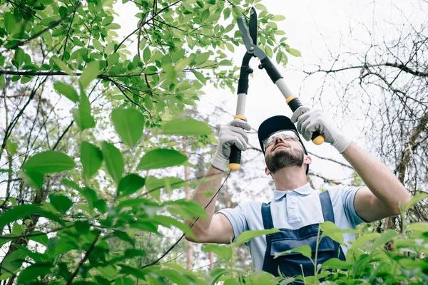 Tree Wise Men Professional Tree Maintenance for Residential & Commercial Properties