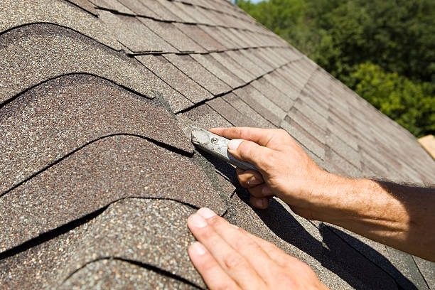 Top Reasons to Choose a Professional Bronx Roofer for Your Property